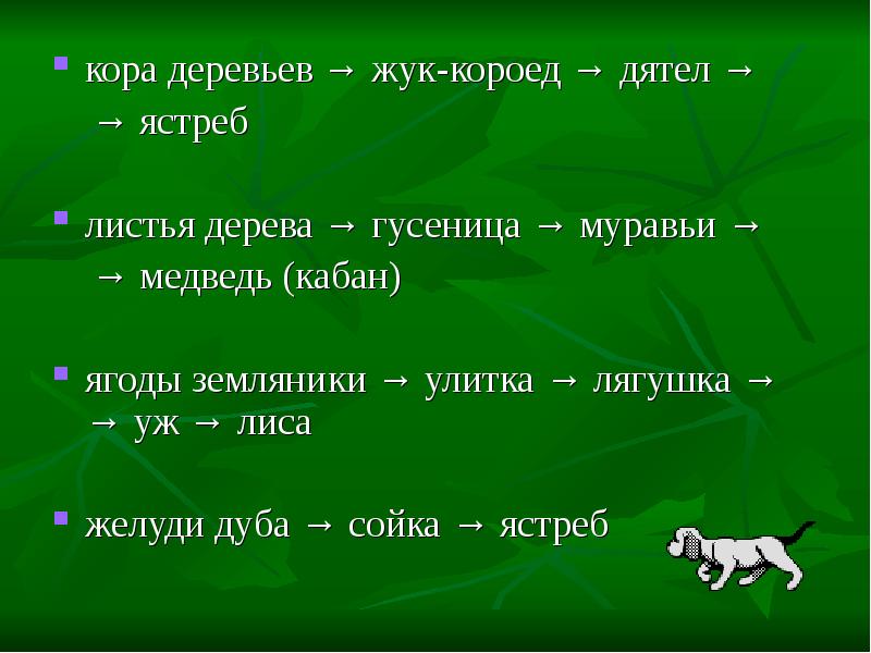 Цепи питания транзистора. Пищевая цепочка смешанных и широколиственных лесов. Цепи питания леса примеры.