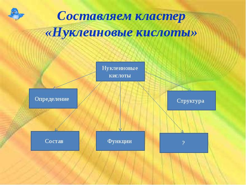 Интеллект карта нуклеиновые кислоты