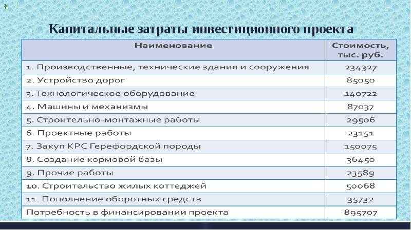 Капитальные затраты проекта