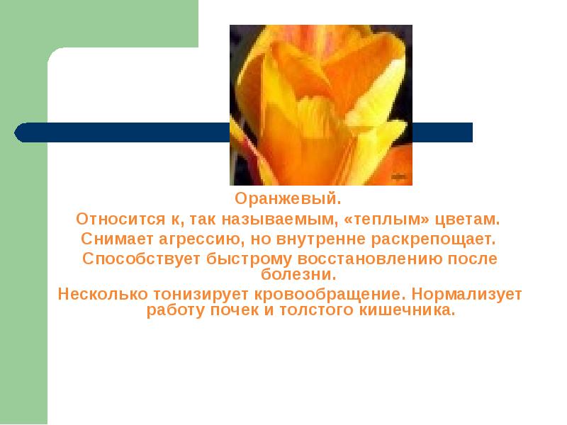 Оранжевый.  Оранжевый.  Относится к, так называемым, «теплым» цветам. 