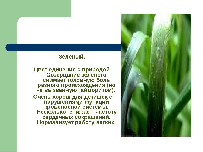 Зеленый.  Зеленый.   Цвет единения с природой. Созерцание зеленого