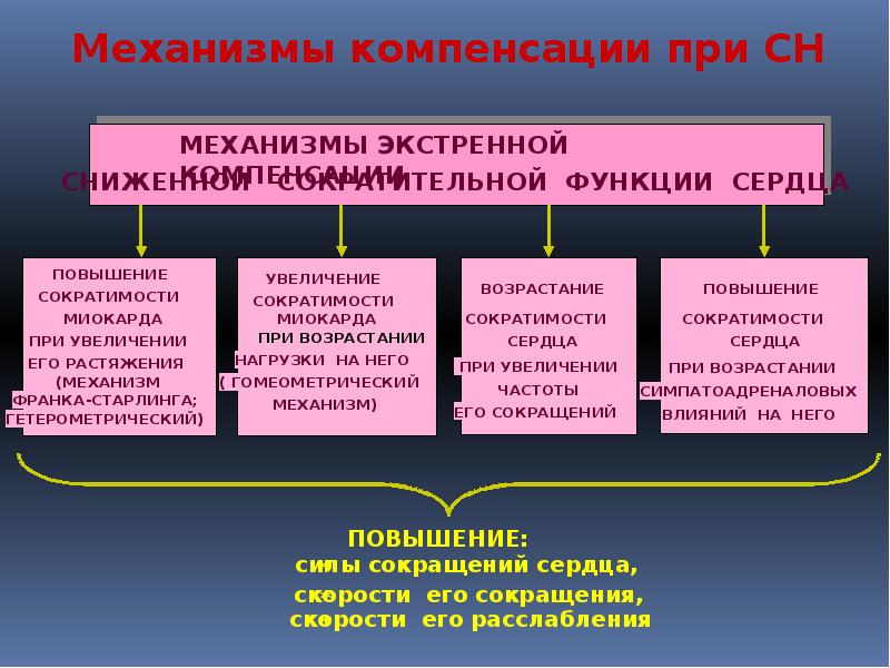 Сердечная недостаточность патофизиология презентация