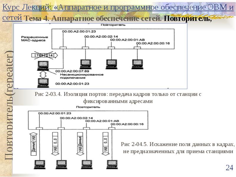 Аппаратное и программное обеспечение. Архитектура сетей ЭВМ. Аппаратное и программное обеспечение ЭВМ. Как осуществляется передача данных в сетях ЭВМ. Порт ЭВМ на схеме.