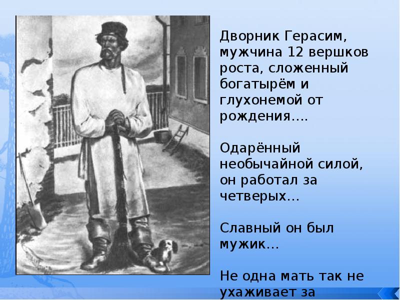 Рассказ про герасима. Герасим двенадцати Вершков роста. 12 Вершков роста Муму. Герасим 12 Вершков мужчины. Дворник Герасим.