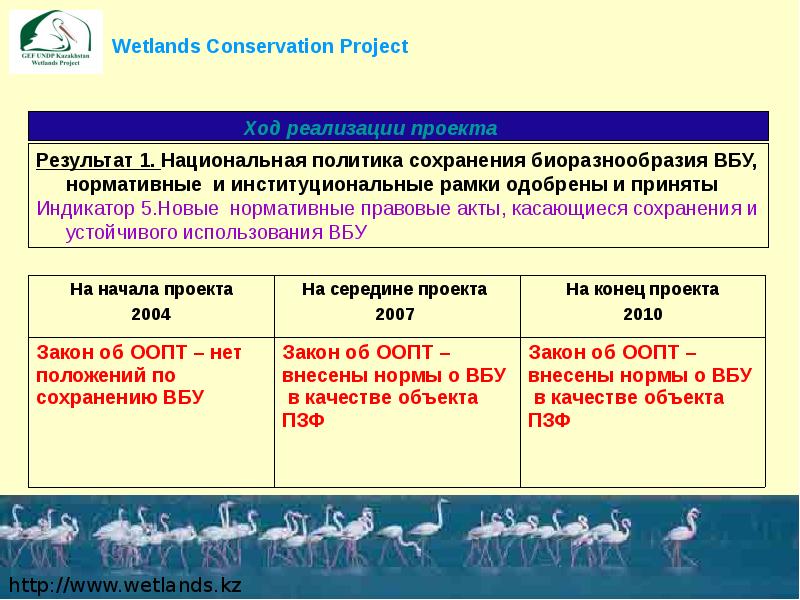 Национальная стратегия и план действий по сохранению биоразнообразия россии