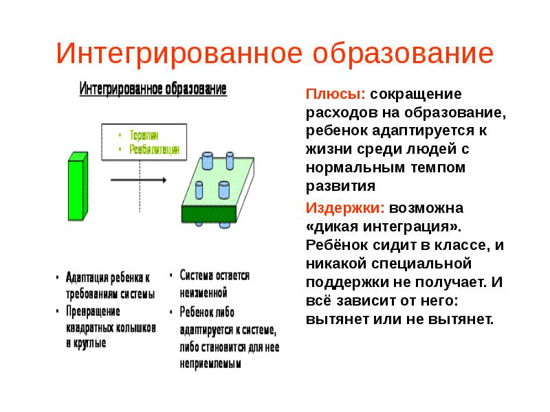 Интегрированное образование презентация