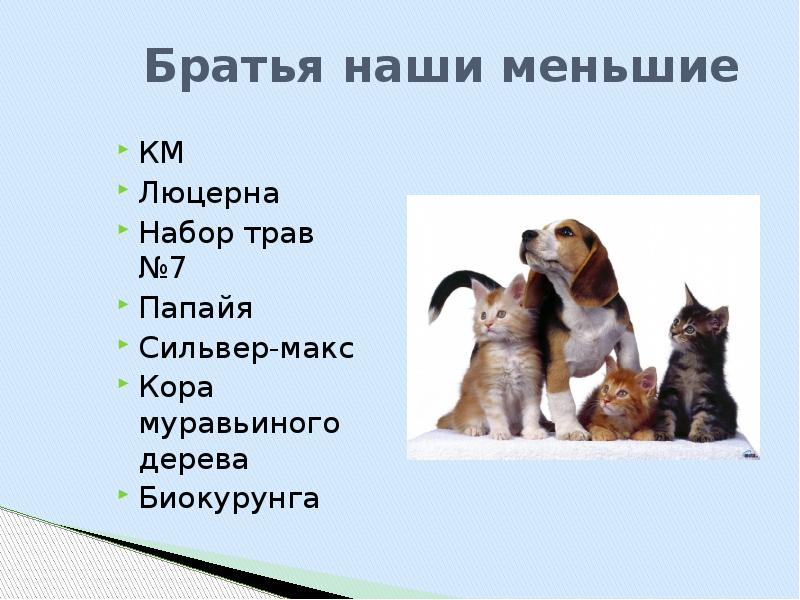 Чтение 2 класс братья наши меньшие. Братья наши меньшие. Братья наши меньшие презентация. Братья наши меньшие сообщение. О братьях наших меньших презентация.