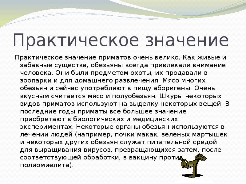 Тату обезьяна. Обезьяна значение. Обезьяна значение. Тату 3 обезьяны. Тату обезьяна.
