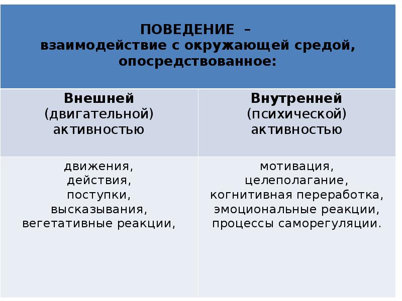 Поведение доклад