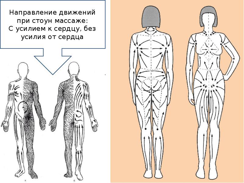 Лимфодренажный массаж щеткой схема