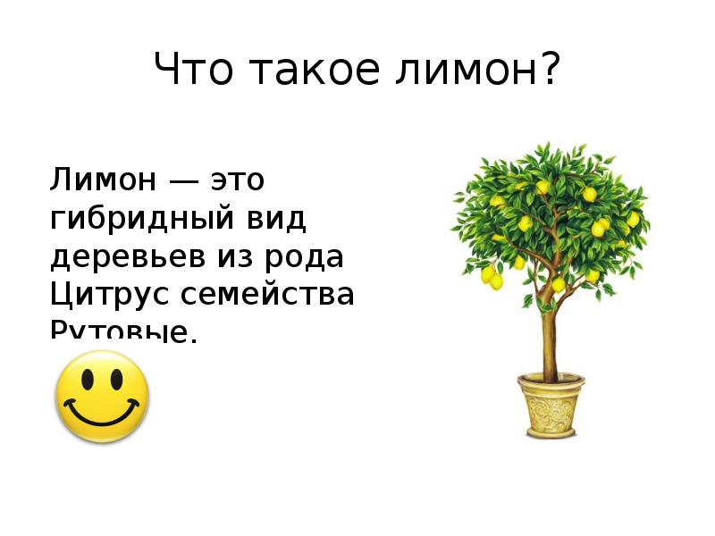 Что такое лимон по фене