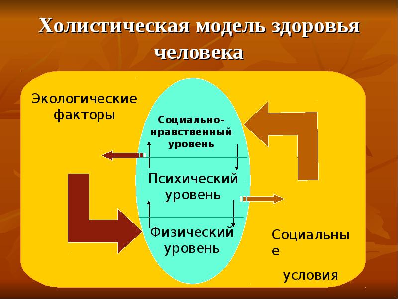 Образования человека здоровья человека. Холистическая модель здоровья человека. Целостная модель здоровья человека. Холистический подход. Составляющие холистической модели здоровья.