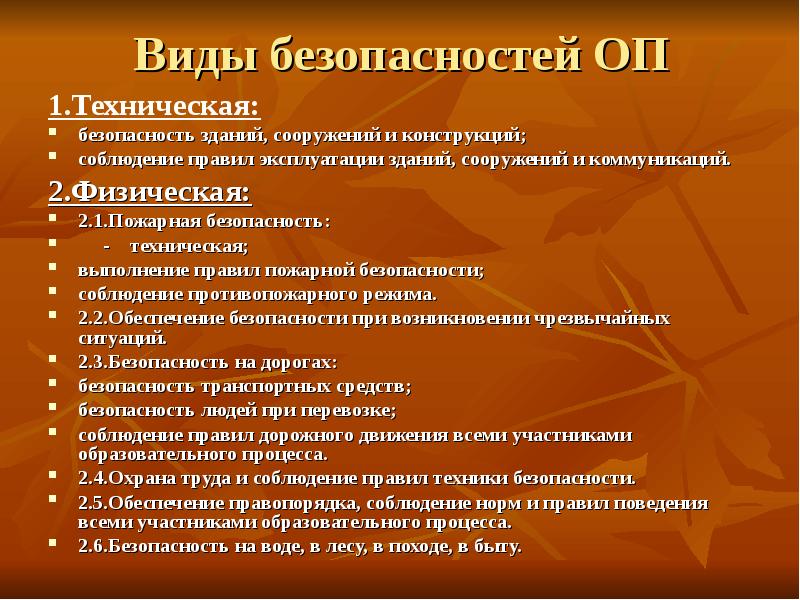 Виды безопасности. Техническая безопасность. Обеспечение безопасности в ОП.