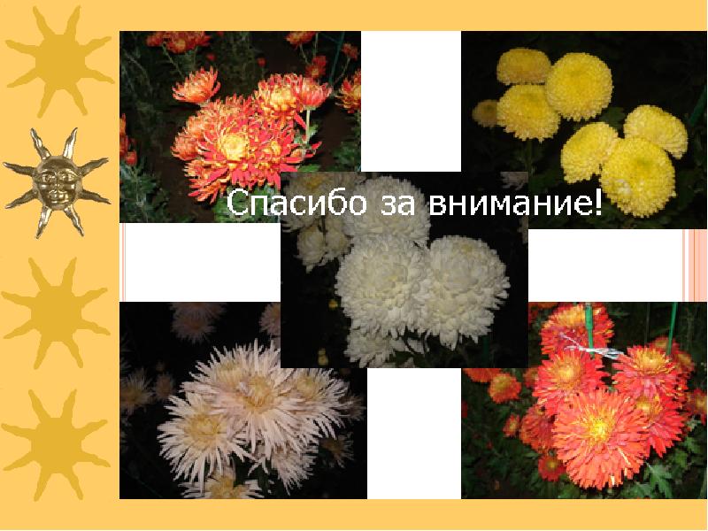 Благодарю за внимание!