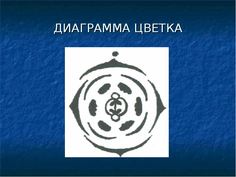 Дикая редька диаграмма