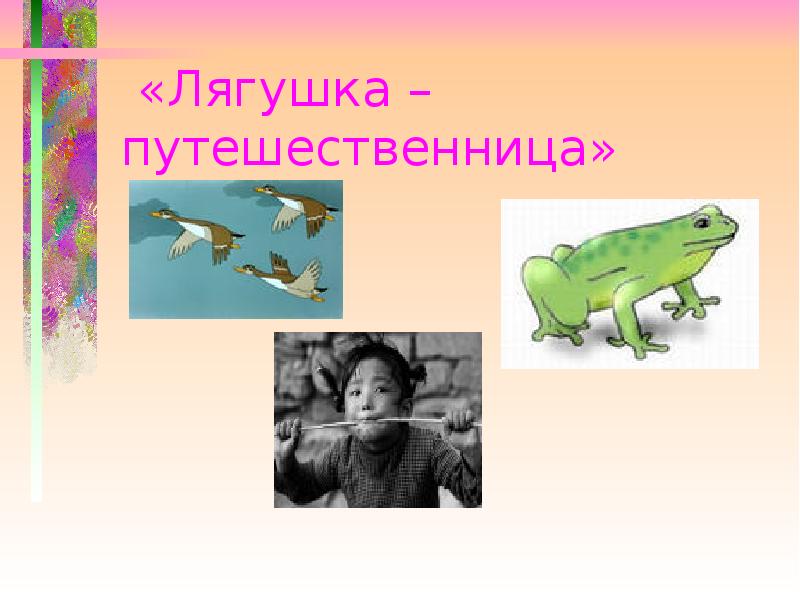 Чтение лягушка путешественница