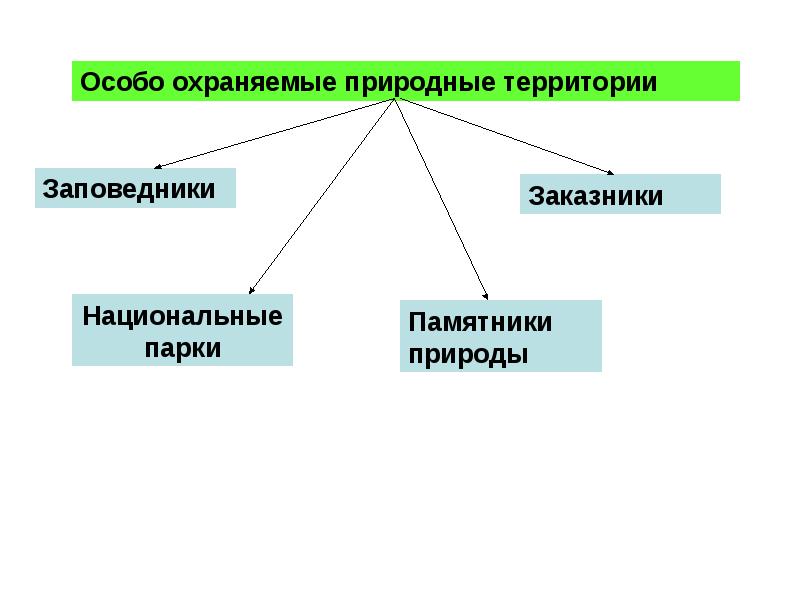 Особо охраняемые природные территории презентация 5 класс