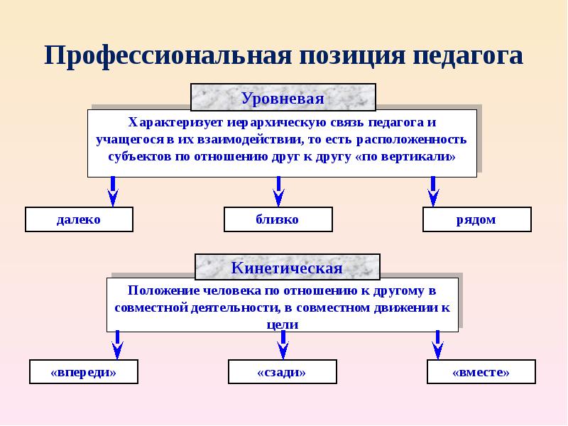 Профессиональное положение