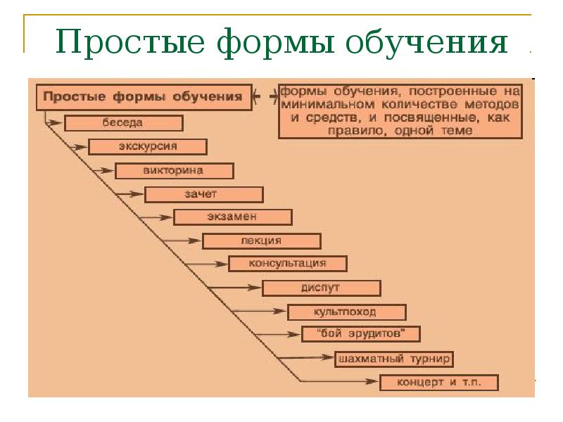 Развитие форма обучения. Формы простого обучения. Несложные виды обучения. Форма обучения простая составная. Развитие форм обучения.