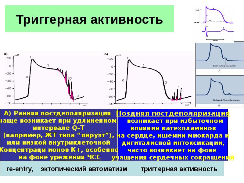 Экг сигнал