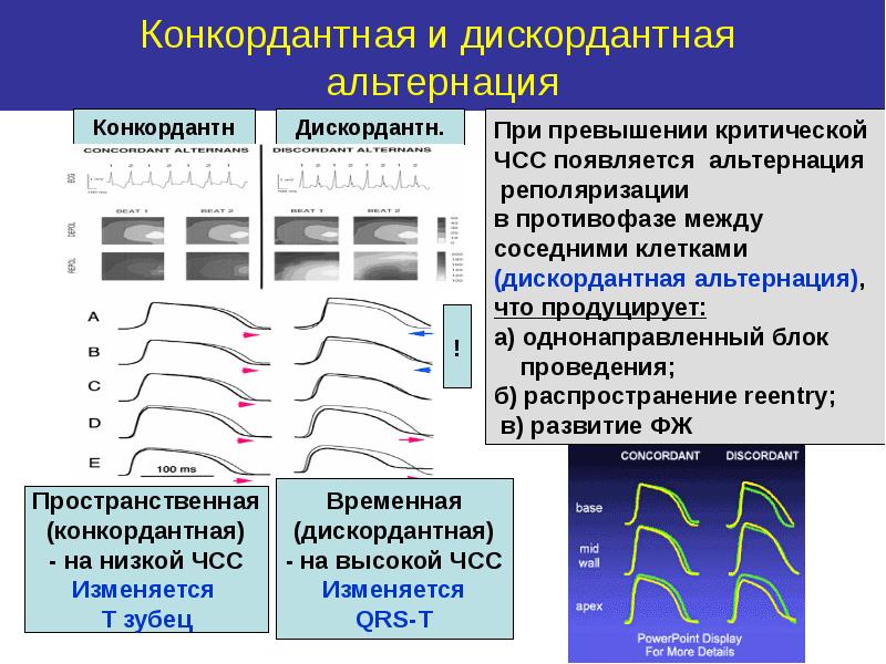 Дискордантных парах