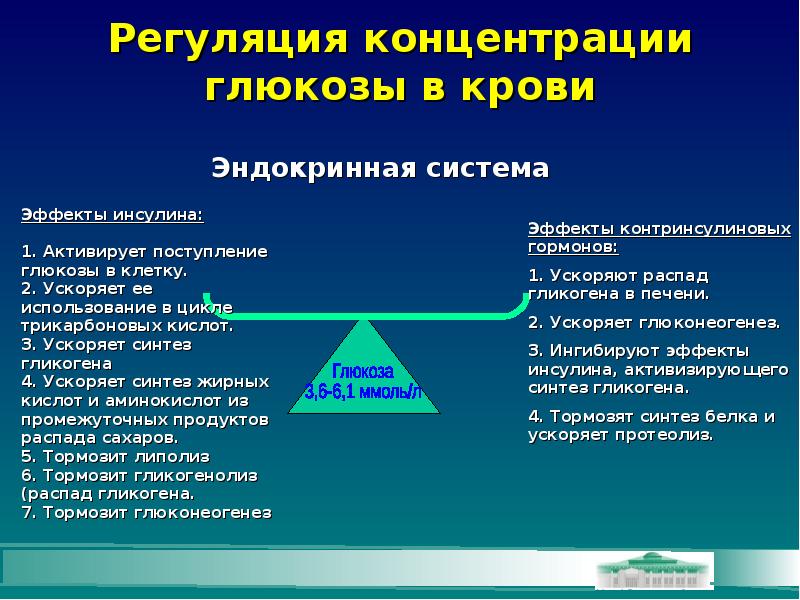 Схема регуляции глюкозы в крови