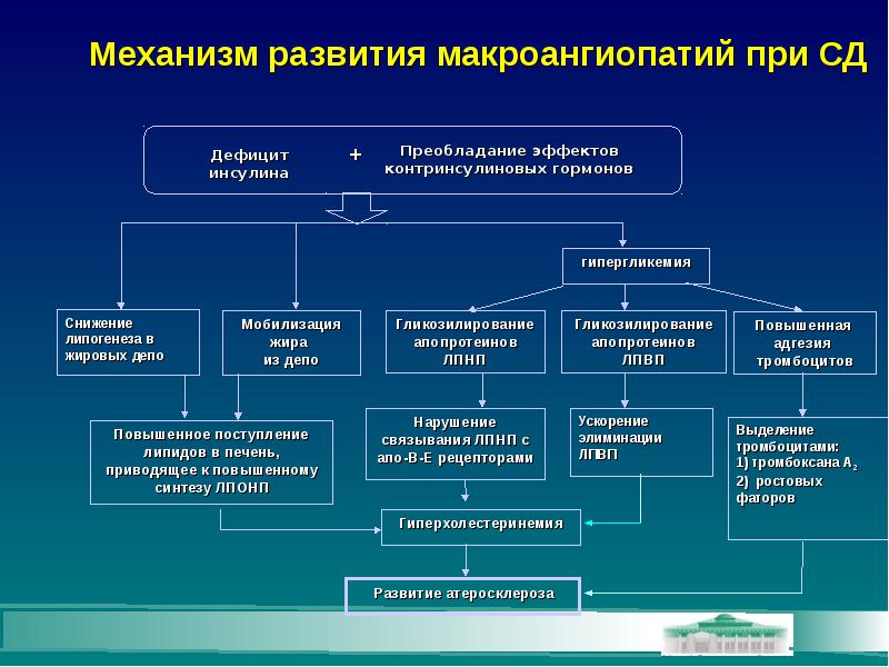 Диабетическая ангиопатия презентация