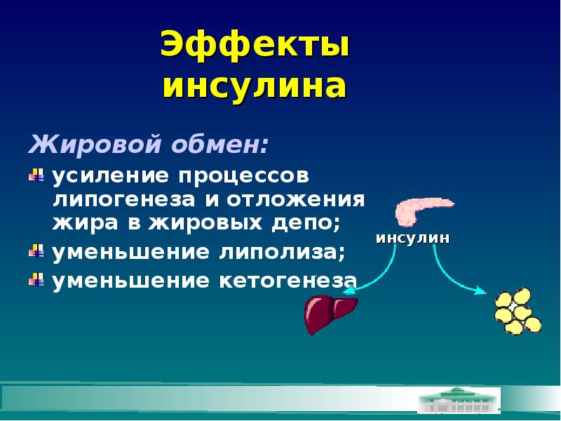 Расщепление жиров. Жировое депо. Жировые депо организма биохимия. Жировое депо организма это. Гормоны жирового обмена.