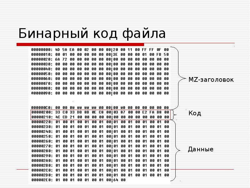 Код данных. Как выглядит бинарный файл. Бинарный код. Двоичный Формат файла. Бинарный код файла.