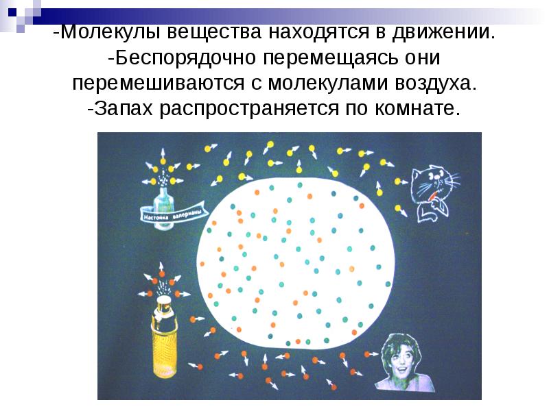 Какая картинка наиболее точно показывает движение молекул