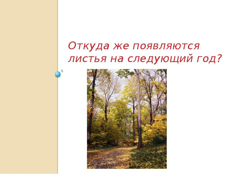 Сезонные изменения леса. Сезонные изменения. Сезонные изменения в лесу. Откуда появляются листья. Сезонные изменения в растительном сообществе.