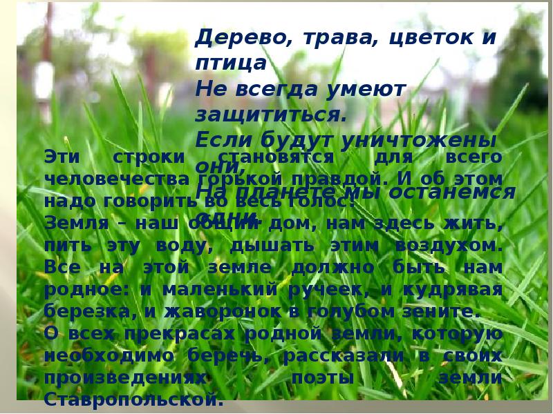 Сочинение: Поэты Ставрополья