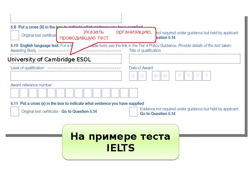 Фисфрдо образец заполнения