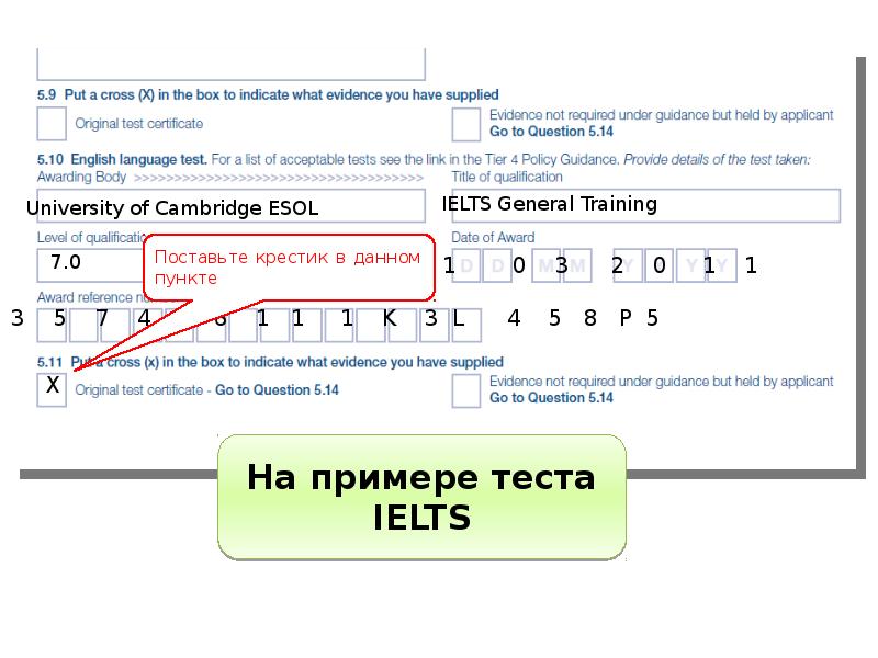 Форма заполнения номера телефона