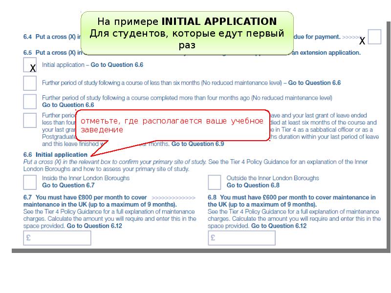 Application initialize