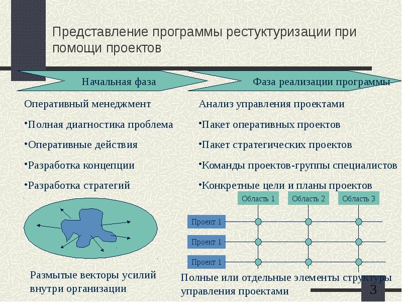 Представление приложения. Программа представления. Разработка концепции реструктуризации. Роли при реализации проектов реинжиниринга. Проблемы оперативного управления проектами.