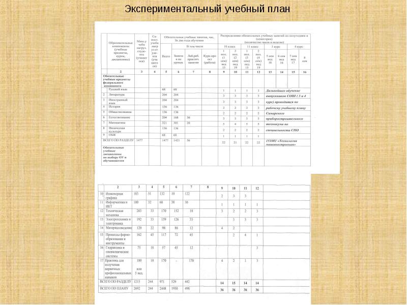 Учебный план профиля обучения должен содержать