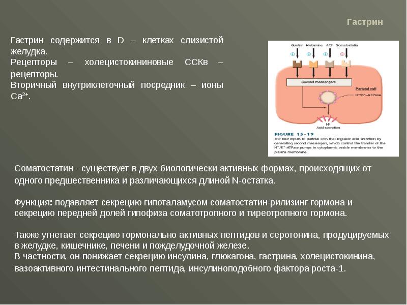 Средства влияющие на жкт фармакология презентация