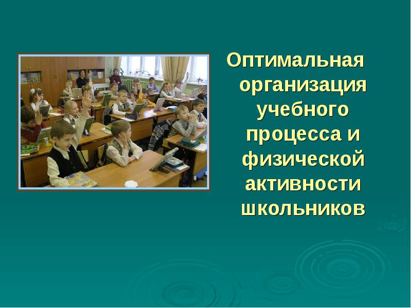 Организация образовательного процесса презентация