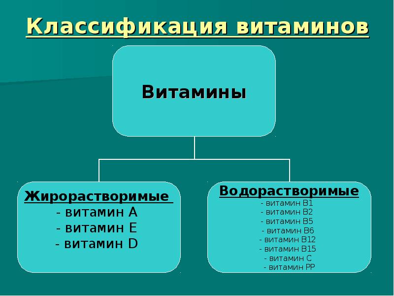 Классификация витаминов картинка