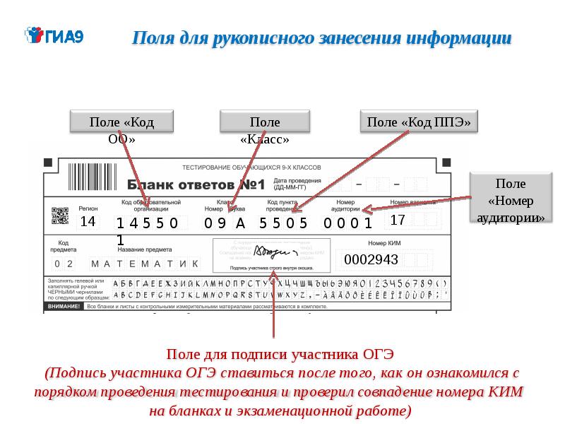 Образец букв огэ