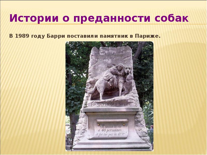 История барри. Памятник собаке Барри. Памятник сенбернару Барри в Париже. Истории о верности собак.