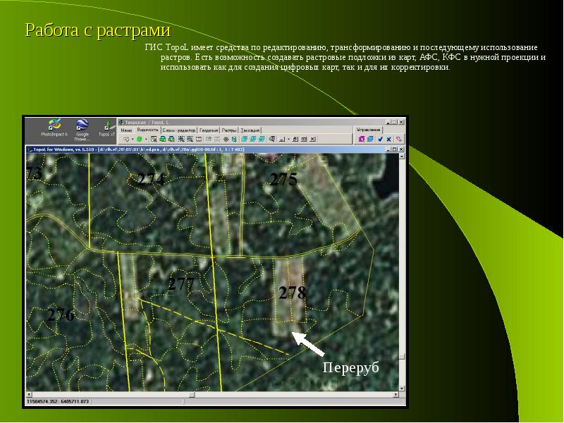 Курсовой проект по лесоустройству