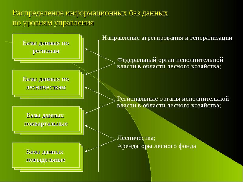 Определить перспективы лесного комплекса. Базы данных лесного хозяйства.. Информационные технологии в Лесном хозяйстве. Автоматизированные системы лесного хозяйства. Информационные системы в Лесной отрасли.