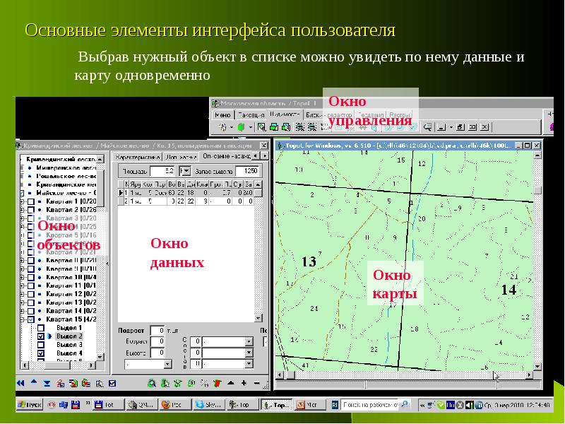 Курсовой проект по лесоустройству