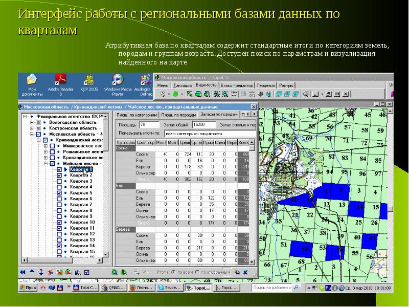 Курсовой проект по лесоустройству