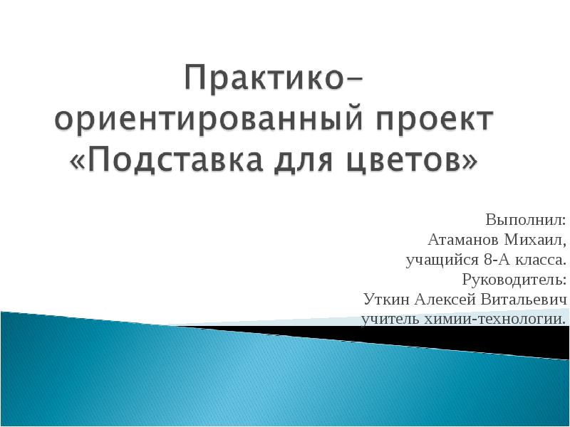 Практико ориентированный проект по английскому языку