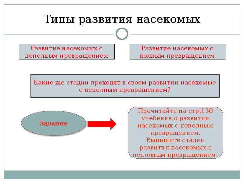 Тип развития 3. Стадии неполного развития. Полное или неполное развитие. Виды развития. Типы эволюции.