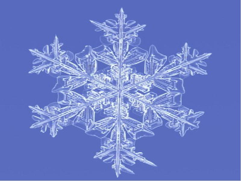 Юля шатунова. Юля снежинки. История снежинки для детей книга. Koshkamoroshka. Юля снежинки.