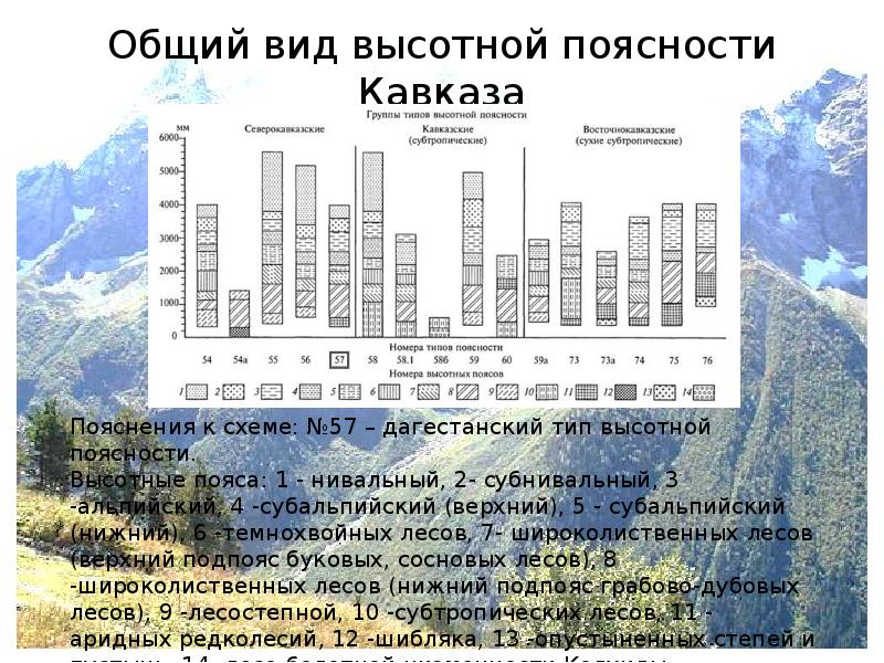 Схема высотной поясности большого кавказа